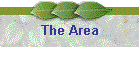 The Area