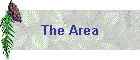 The Area