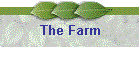 The Farm