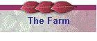 The Farm