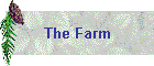 The Farm